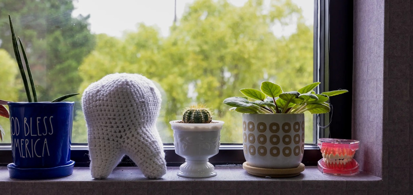Mugs and potted plants in windowsill