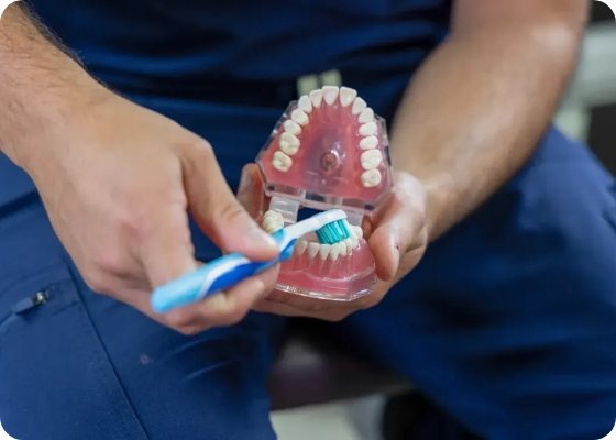 Dentist brushing a model of the teeth with a toothbrush